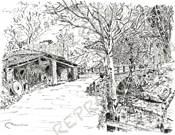 Plaza de Taramundi y Carballón