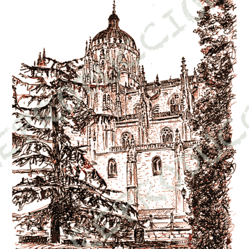 Catedral Nueva desde Anaya