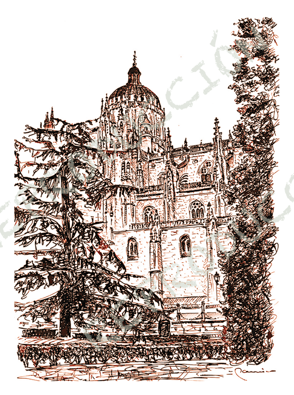 Catedral Nueva desde Anaya