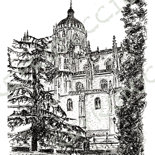 Catedral Nueva desde Anaya