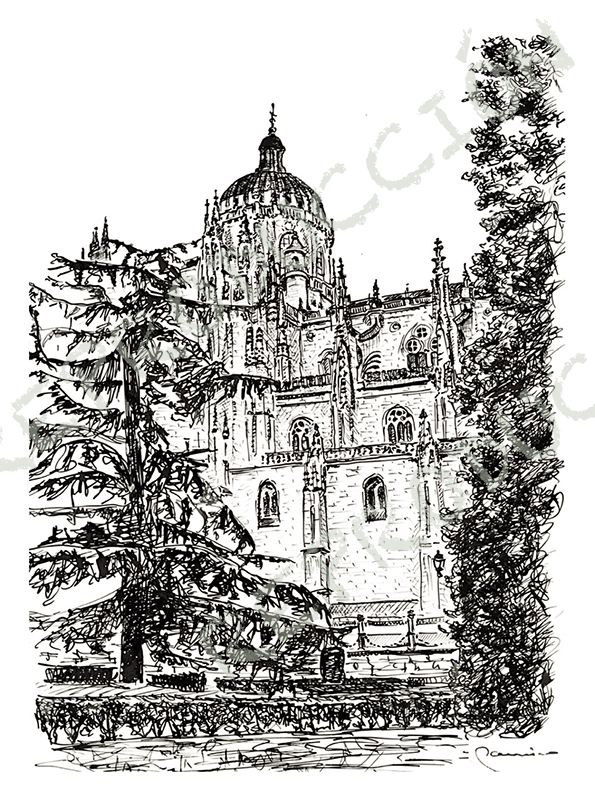 Catedral Nueva desde Anaya