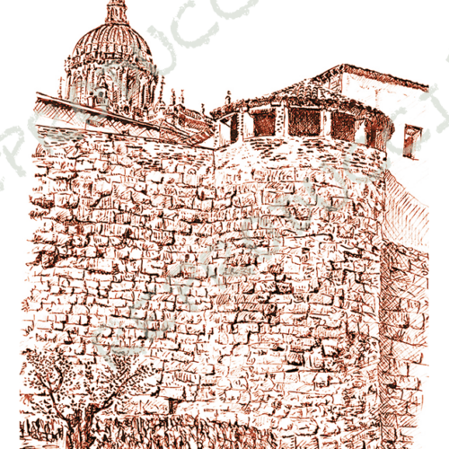 Muralla y Catedral