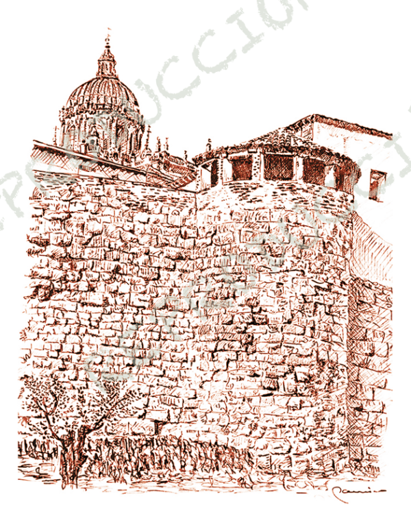 Muralla y Catedral