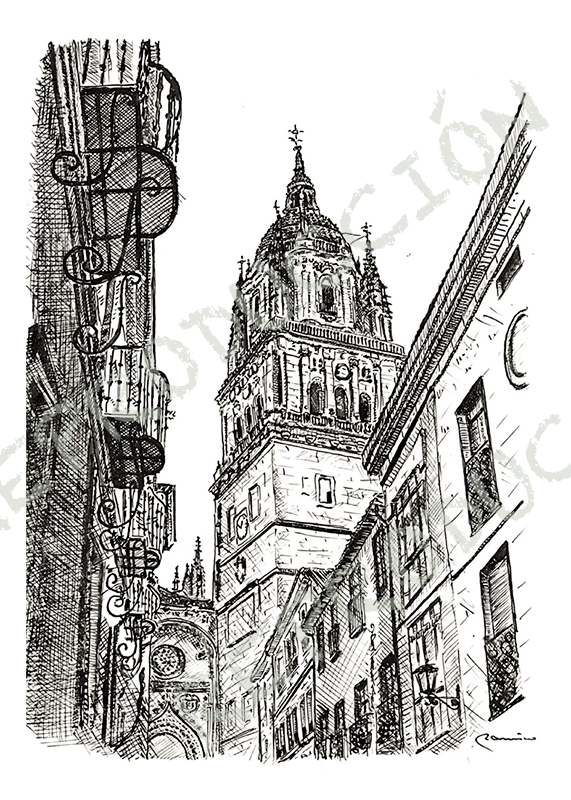 Catedral desde Libreros