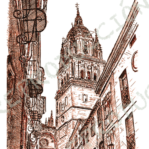 Catedral desde Libreros
