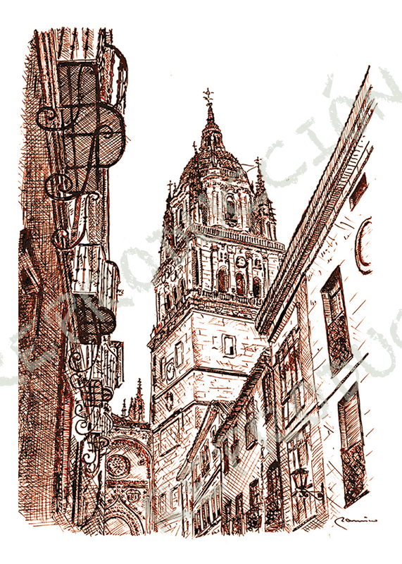 Catedral desde Libreros