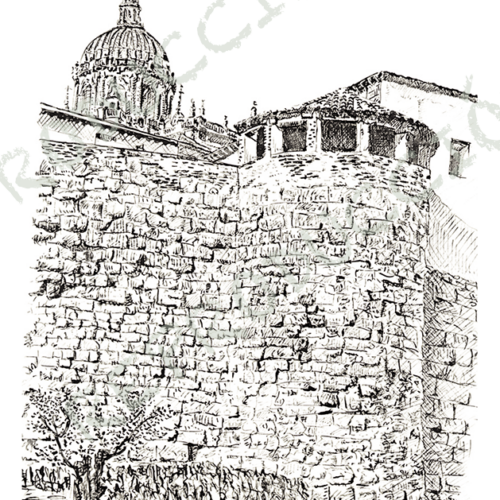 Muralla y Catedral
