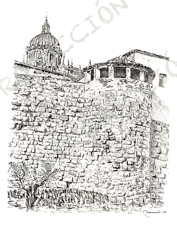 Muralla y Catedral