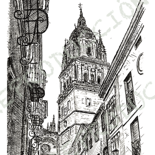 Catedral desde Libreros