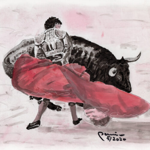 Revolera