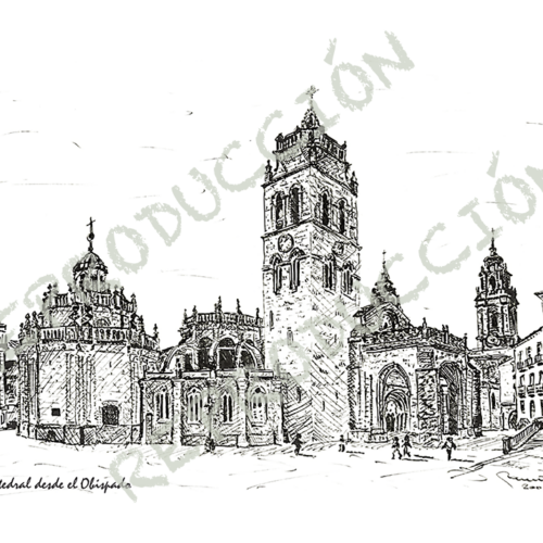 Catedral dende o Bispado
