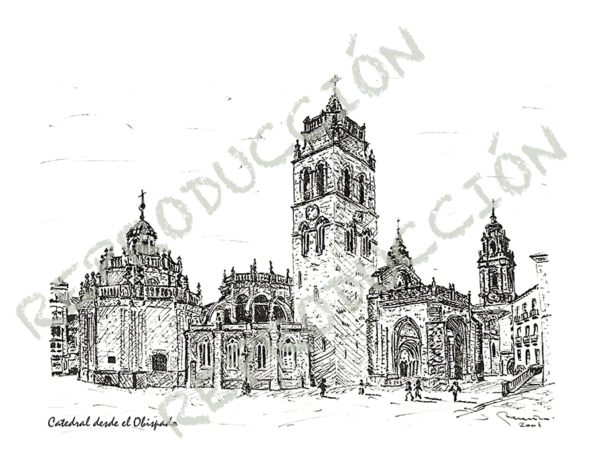 Catedral dende o Bispado