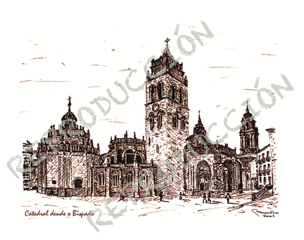 Catedral dende o Bispado